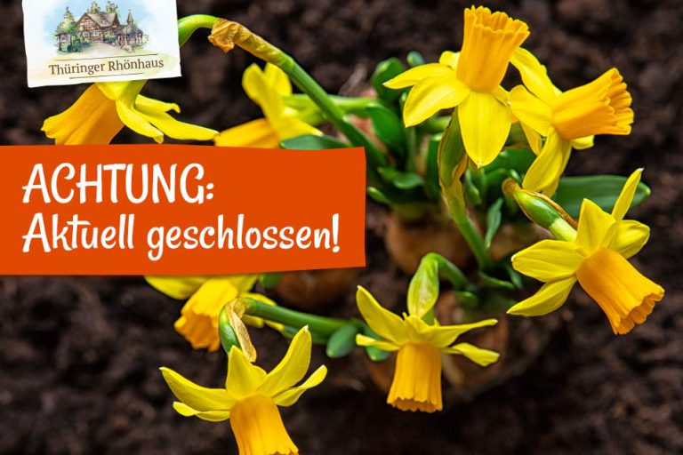 corona-einschraenungen-rhoenhaus-2