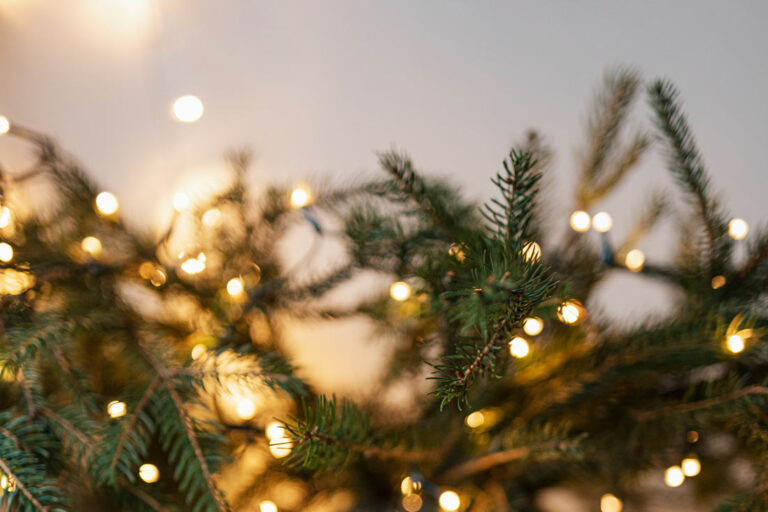 weihnachten-gasthaus-rhoen-2022