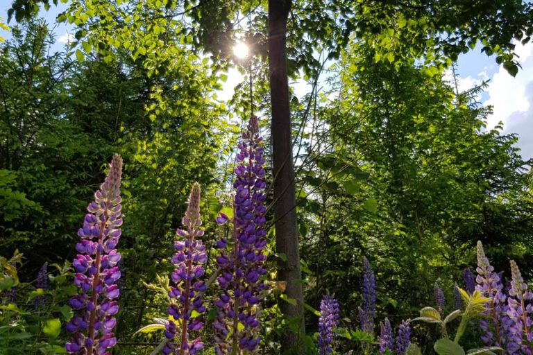 sommer-urlaubszeit-rhoen